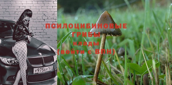 MDMA Premium VHQ Армянск