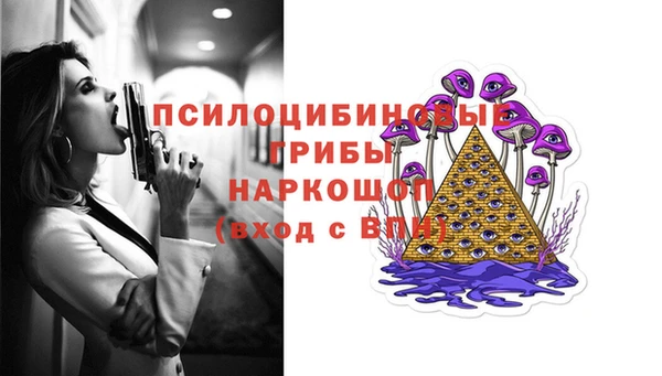 дживик Арсеньев