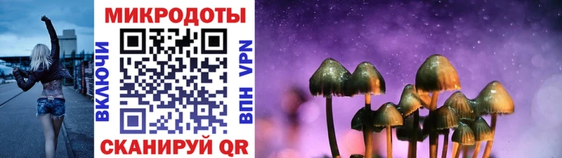 MEGA маркетплейс  Дыгулыбгей  Псилоцибиновые грибы Psilocybine cubensis 